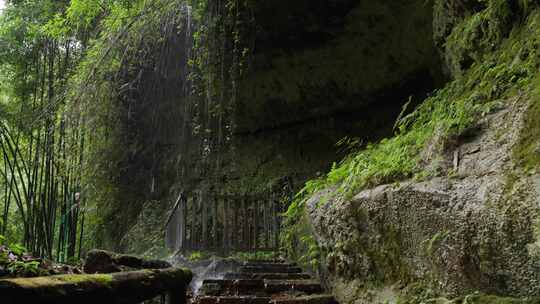四川邛崃川西竹海风景