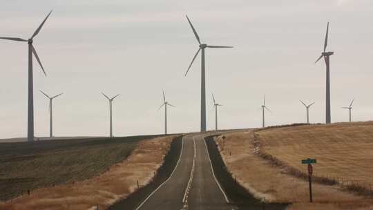 涡轮机，风电场，道路，风力涡轮机