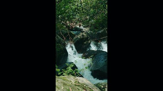 竖屏森林溪水流山泉青苔藓瀑布