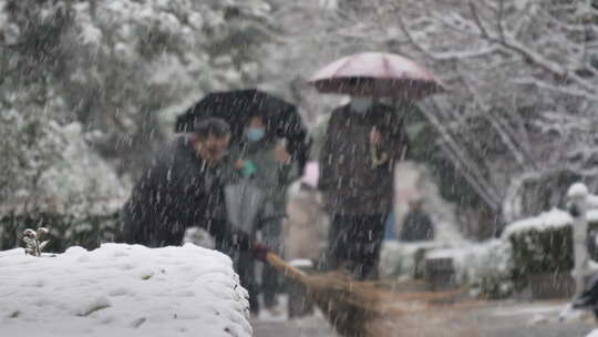 城市下大暴雪