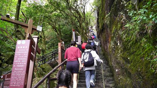 清晨爬山登山上楼梯背影脚步特写森林爬楼梯