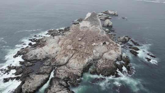 海鸟，筑巢地点，洛基，海岸