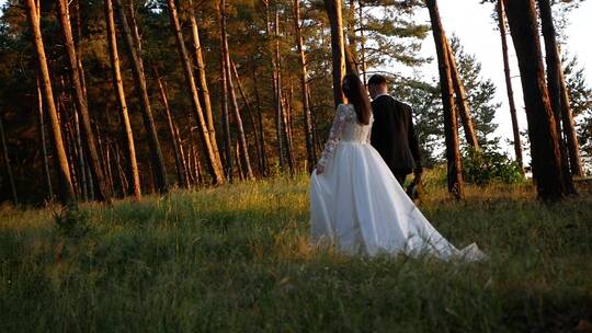 公园里的新郎新娘走向树林