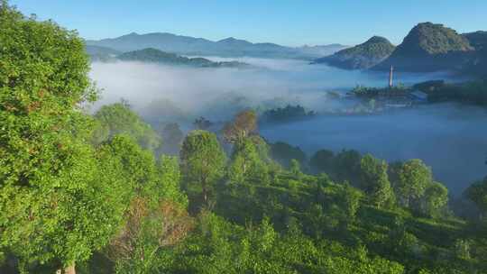 航拍云雾缭绕的茶山