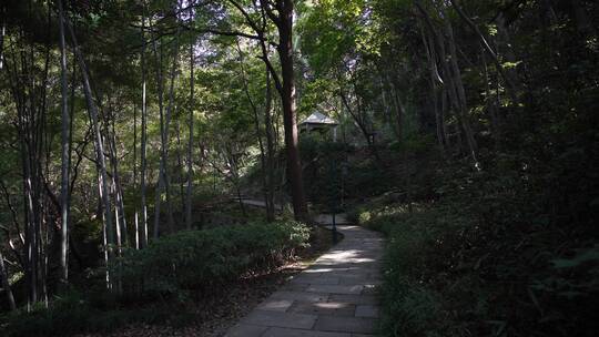 杭州宝石山景区金鼓洞景点