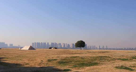 湖边开阔草地上一棵孤独的树后的城市远景