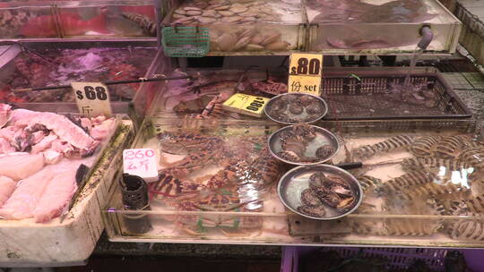 农贸市场里的海鲜产品象拔蚌