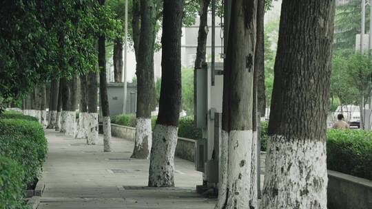 城市绿化步道