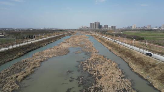 河流治理生态环境保护绿色发展视频素材模板下载