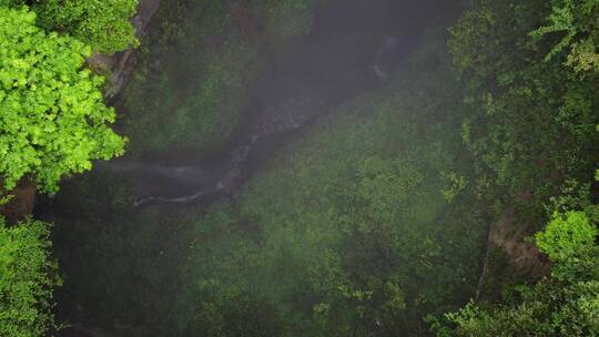 湘西原始森林自然天坑灵洞天窗唯美奇观