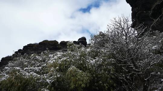 实拍冬天雪景雾凇