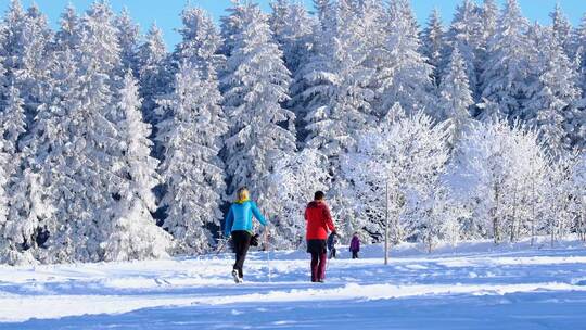 冬天大自然户外雪地上 散步滑雪的人物特写