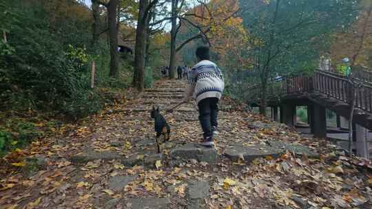 升格特写：男孩牵狗在铺满落叶的古道奔跑