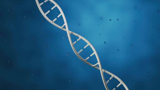人体DNA基因三维立体空间