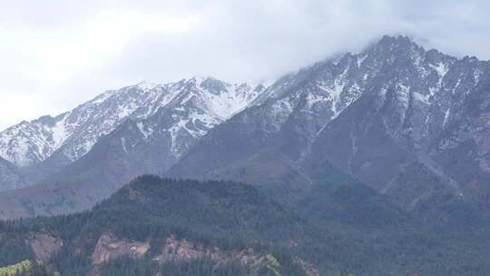雪山森林自然风光全景
