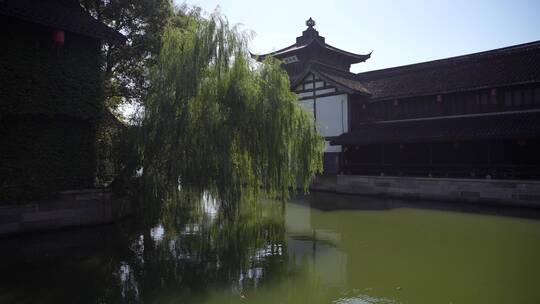 浙江嘉兴柯岩风景区鲁镇风景视频