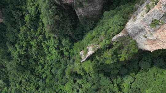 湖南省张家界景区阿凡达取景地奇峰穿云航拍