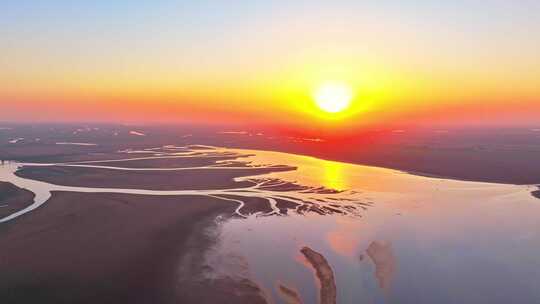 江西鄱阳湖湿地生命之树景观日落