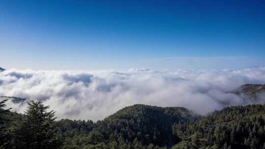 山谷上的云海