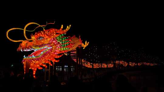 北京什刹海荷花市场元宵节灯会传统文化龙年视频素材模板下载