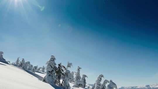 晴朗天气下的雪山