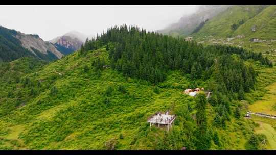 山川云雾 高山 森林植被