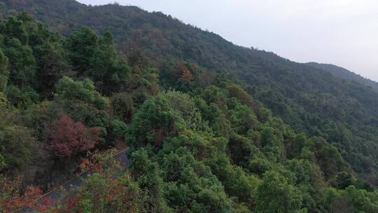 卡车在山区道路行驶