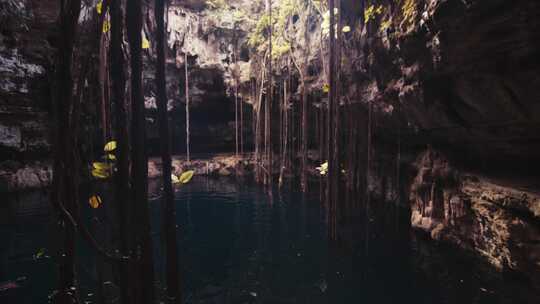 天坑，圣坛，地下水，树根