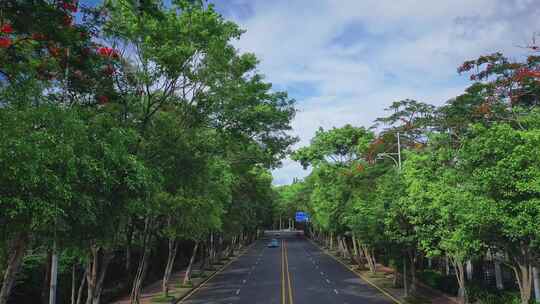 北京大学深圳研究生院航拍视频