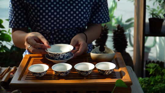 午后阳光美女茶艺师展示功夫茶冲泡红茶文化