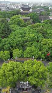 竖版航拍江苏苏州敕建报恩禅寺