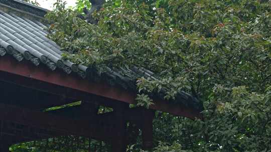 重庆雨季下雨屋檐实拍