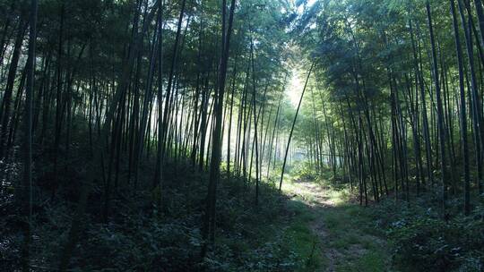 航拍南京无想山