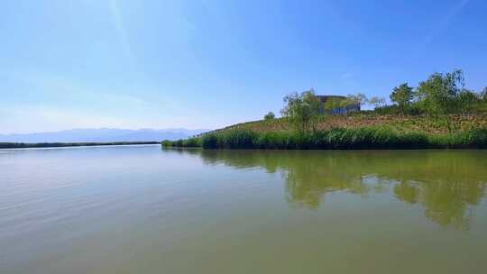 宁夏石嘴山沙湖旅游景区芦苇湿地风光