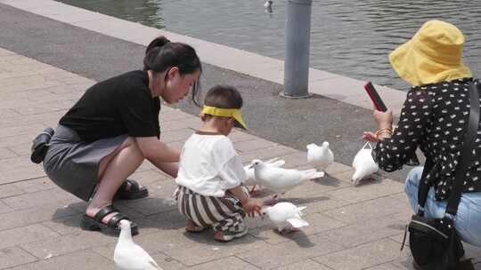 实拍妈妈教孩子喂鸽子