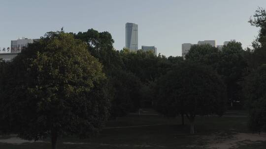 镇江市中心 江苏大学附属医院