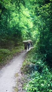 唯美意境，治愈系自然风景，大自然的声音