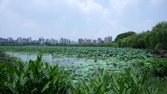 武汉南湖幸福湾水上公园