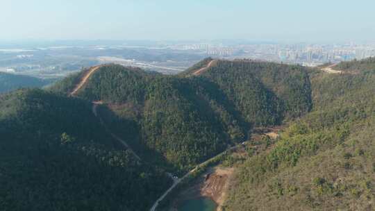 象鼻窝森林公园大山深处