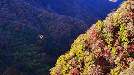 秦岭秋景