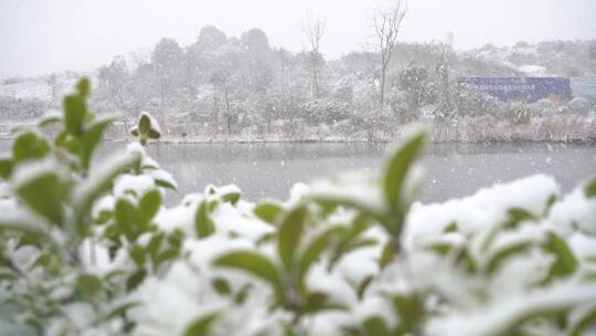 下雪的湖面