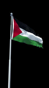 巴勒斯坦国旗Alpha通道垂直方向