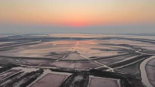 东营黄河口生态湿地冬天风光航拍