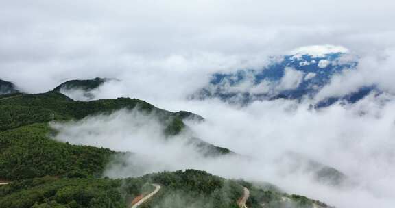 山云雾生态大自然晨雾山川林雾航拍