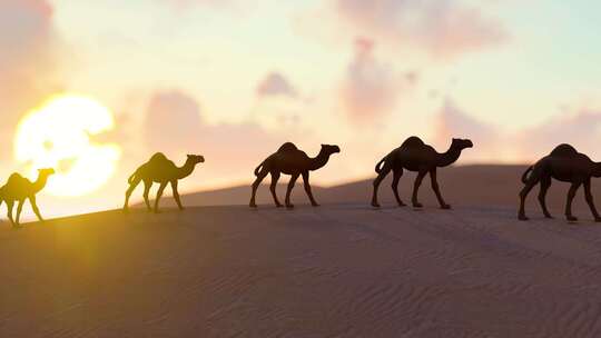 夕阳日落下的沙漠骆驼队剪影