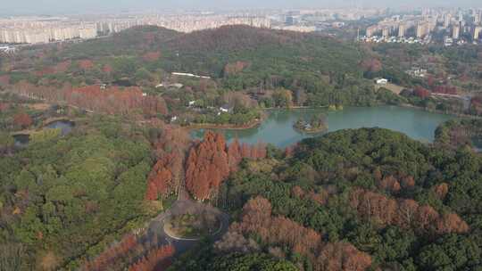 深秋的芜湖神山公园风光航拍素材