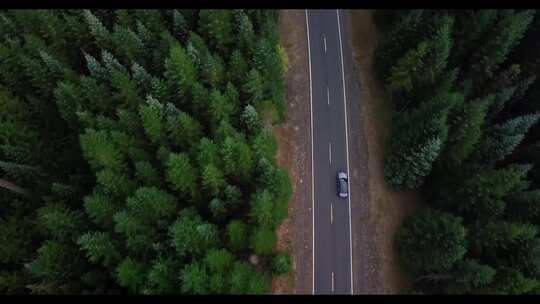 航拍汽车行驶在森林乡村树林山路林间小道