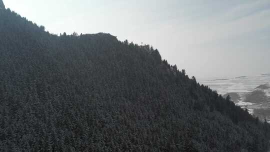 青海互助龙王山雪山树木航拍视频