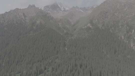 新疆独库公路中途雪山草原美景