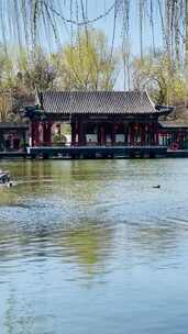 春色满园的北京大观园景区风光